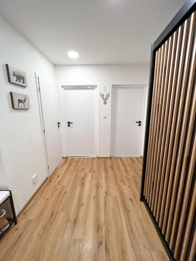 Apartman Visek Jáchymov Zewnętrze zdjęcie