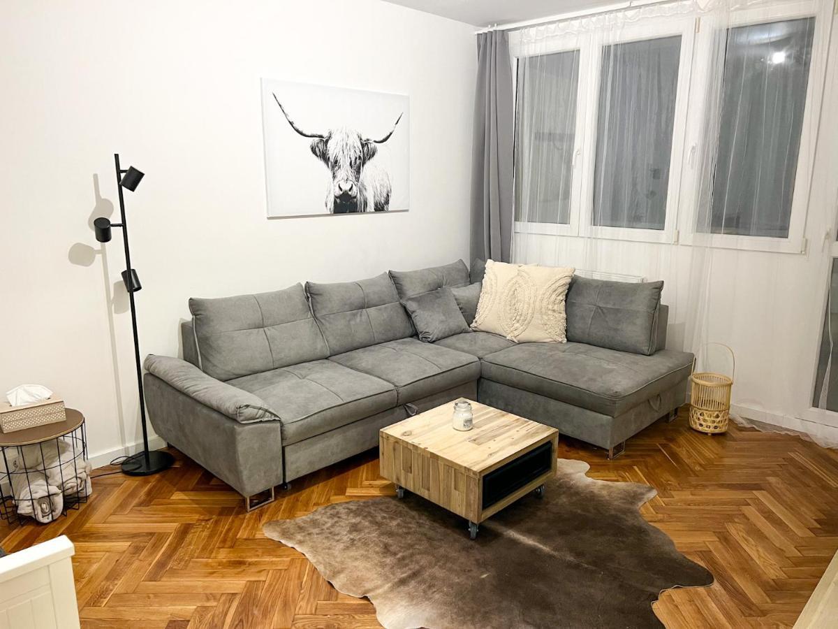 Apartman Visek Jáchymov Zewnętrze zdjęcie