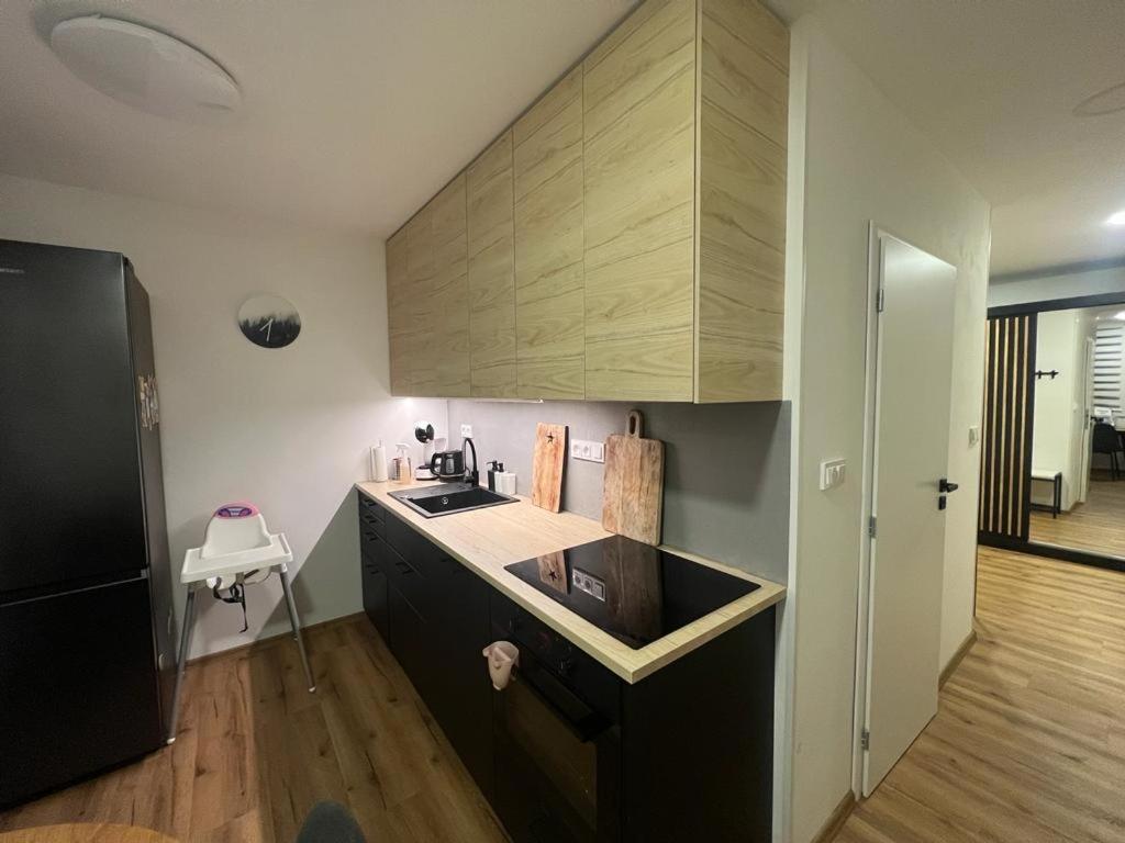 Apartman Visek Jáchymov Zewnętrze zdjęcie